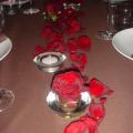 DSC06696.jpg
